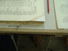 Conservation 5