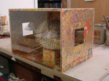 Large display case covered with dutch gilt paper.